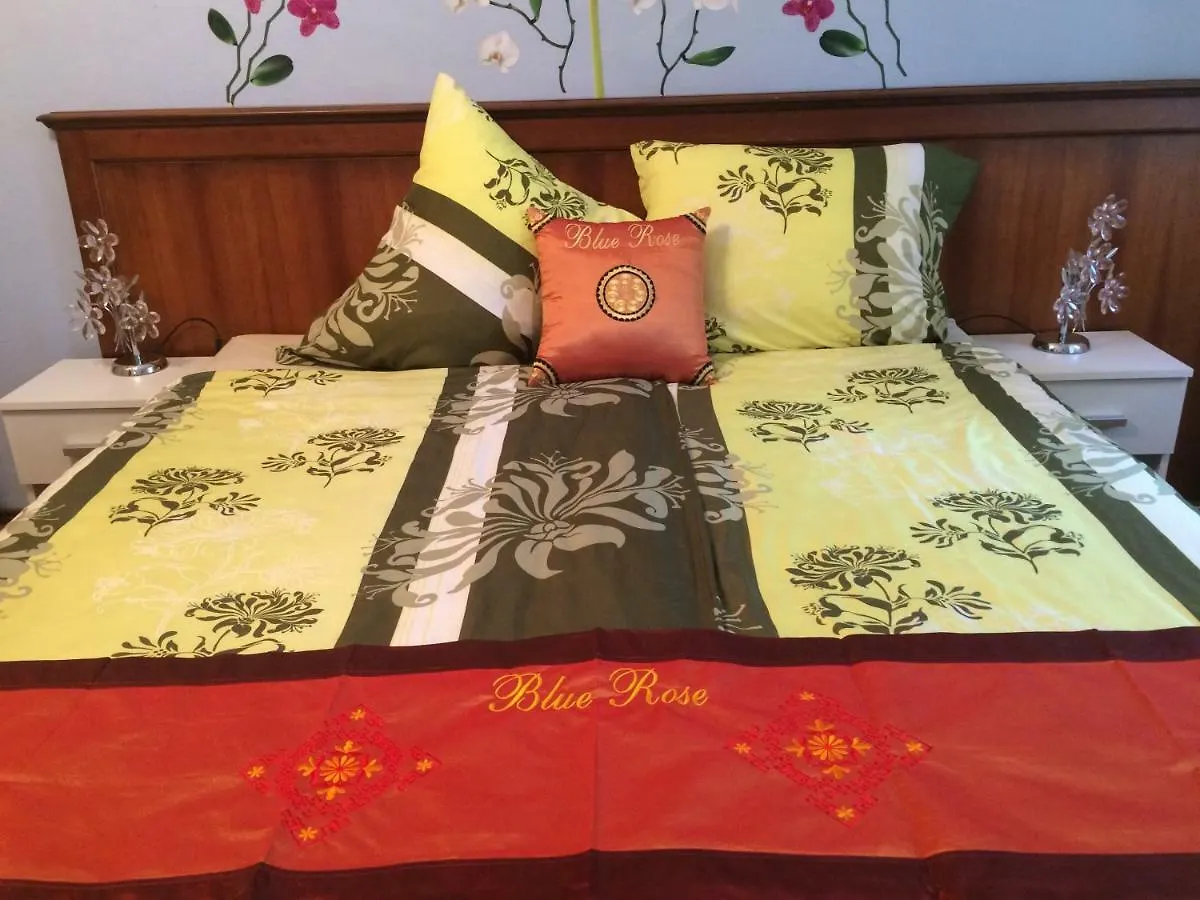 Apartmán Blue Rose Apartman Karlovy Vary Česká republika