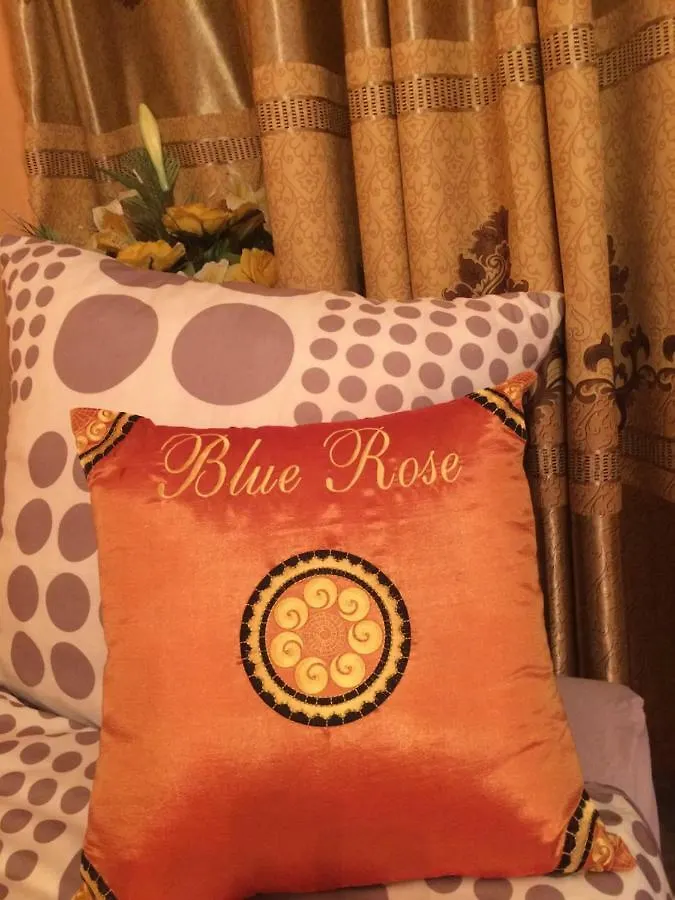 Apartmán Blue Rose Apartman Karlovy Vary