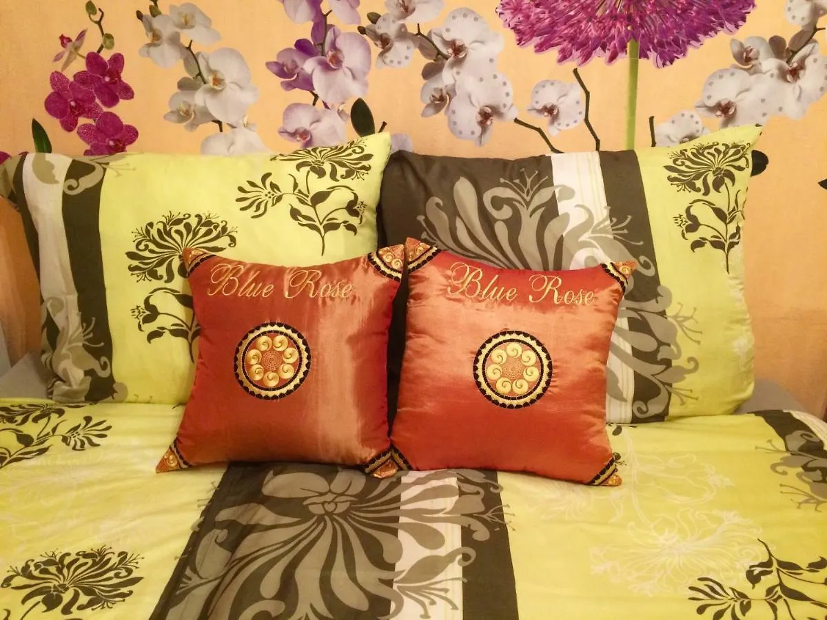 Blue Rose Apartman Karlovy Vary Apartmán